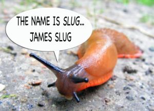 WTF is a slug?